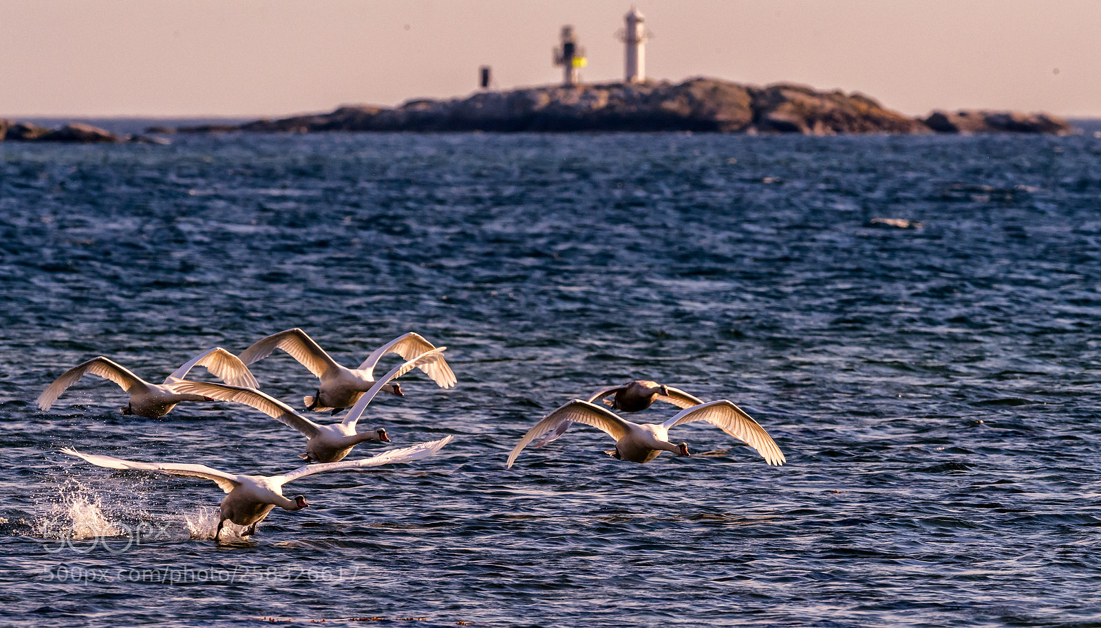 Nikon D5 sample photo. Sunset, reveludden sweden photography