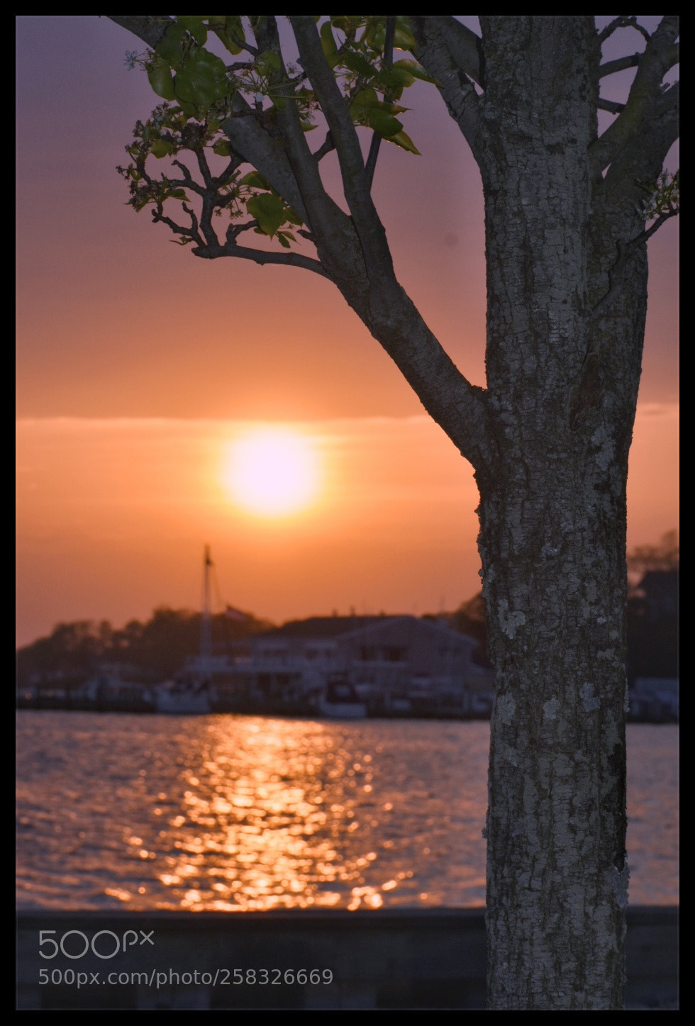 Nikon D3400 sample photo. Sunset... photography