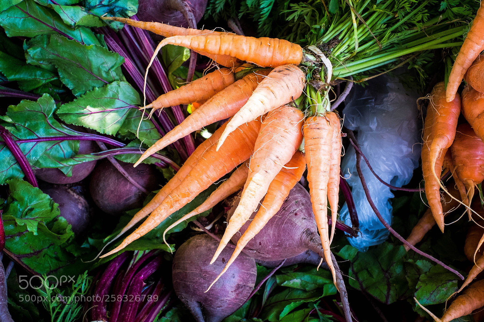 Fujifilm X-Pro1 sample photo. Lighting carrots photography