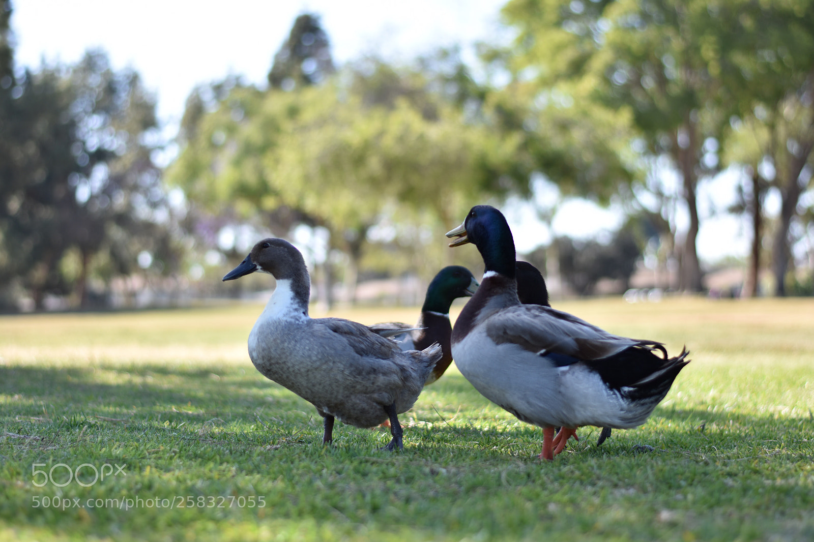 Nikon D3400 sample photo. Untitled photography