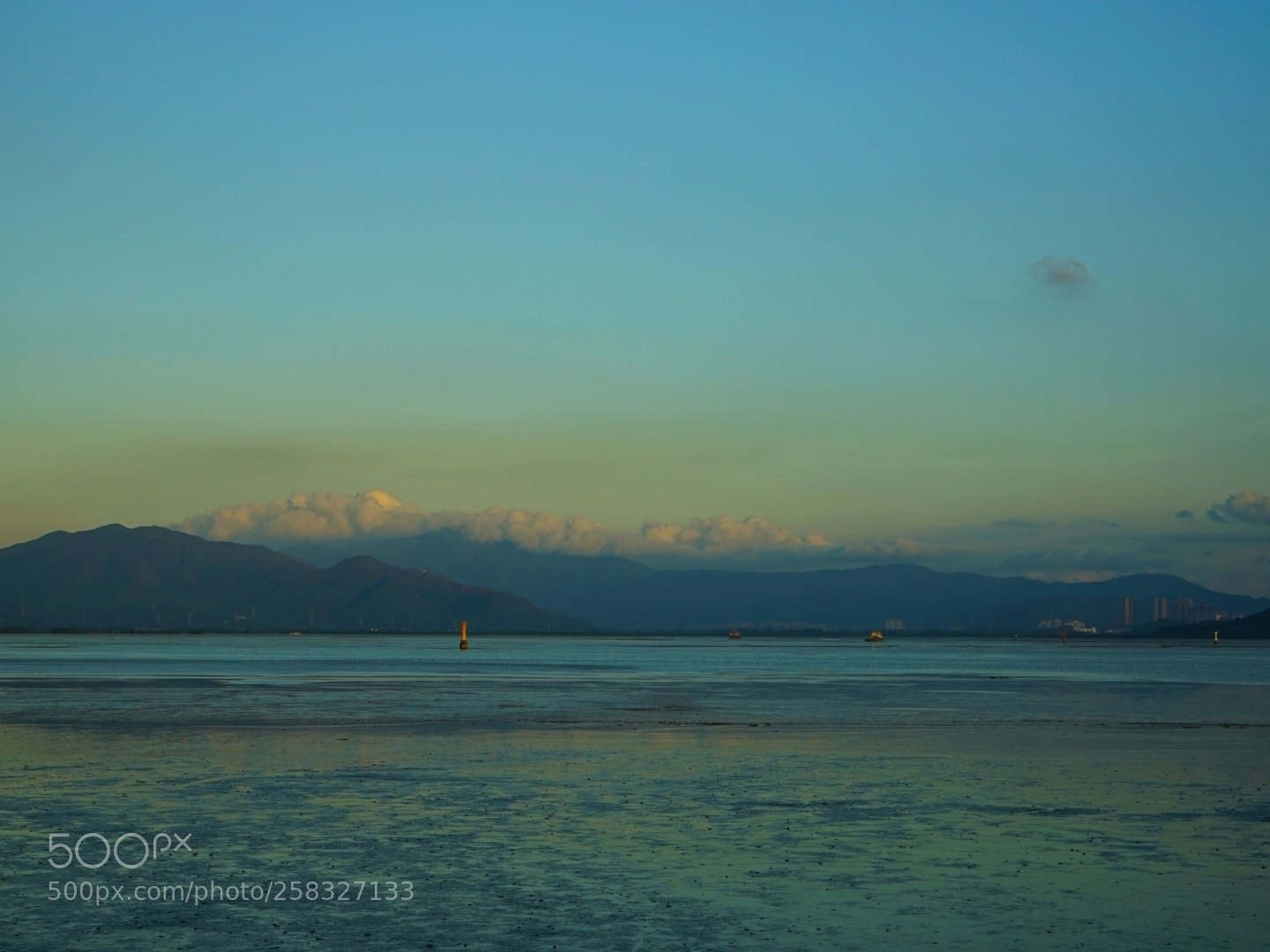 Sony a7 sample photo. Untitled photography