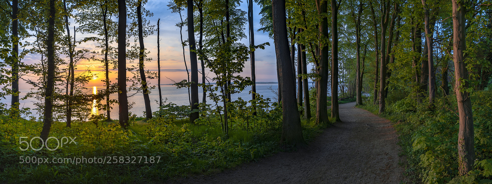 Nikon D750 sample photo. Path of the sun photography