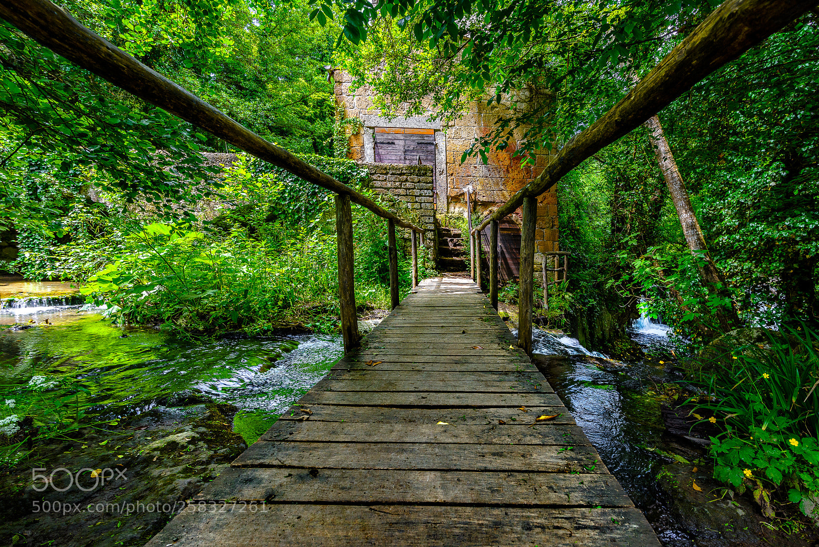 Nikon D810 sample photo. Beyond the stream photography
