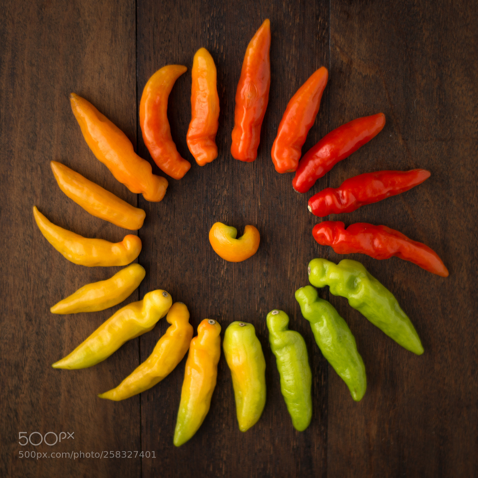 Nikon D5200 sample photo. Sun spicy gradient photography