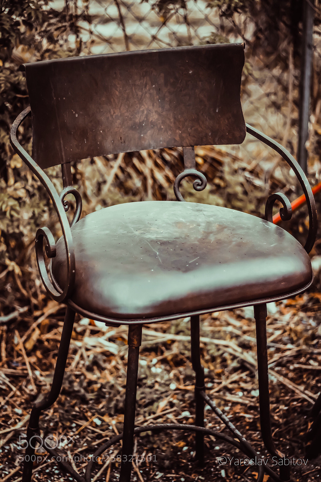 Canon EOS 1300D (EOS Rebel T6 / EOS Kiss X80) sample photo. Vintage chair photography