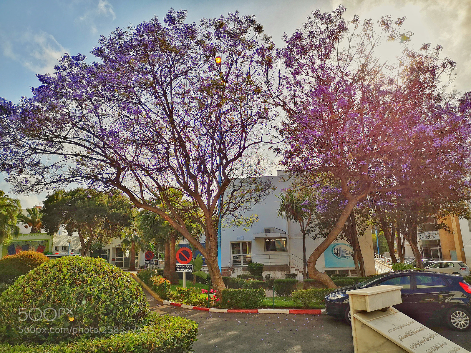 HUAWEI P20 sample photo. Never say there is photography