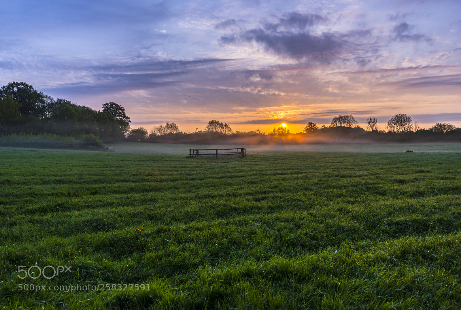 Nikon D750 sample photo. Morning in the fields photography