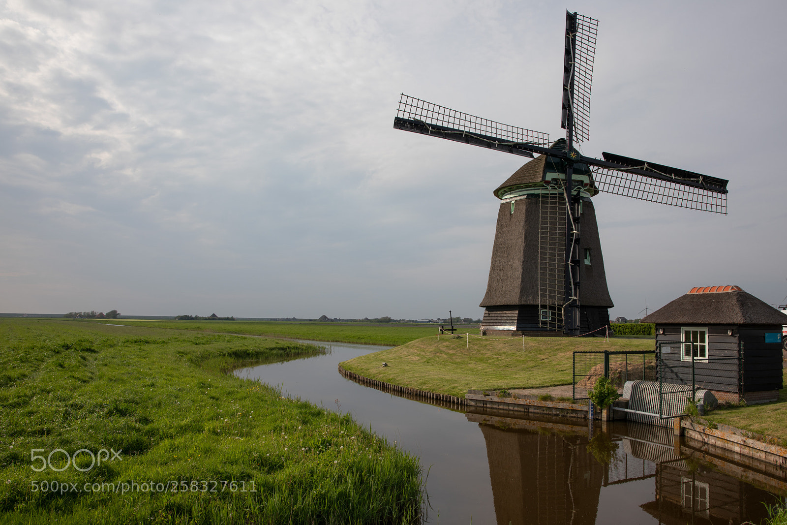 Canon EOS 5D Mark IV sample photo. 1597 photography