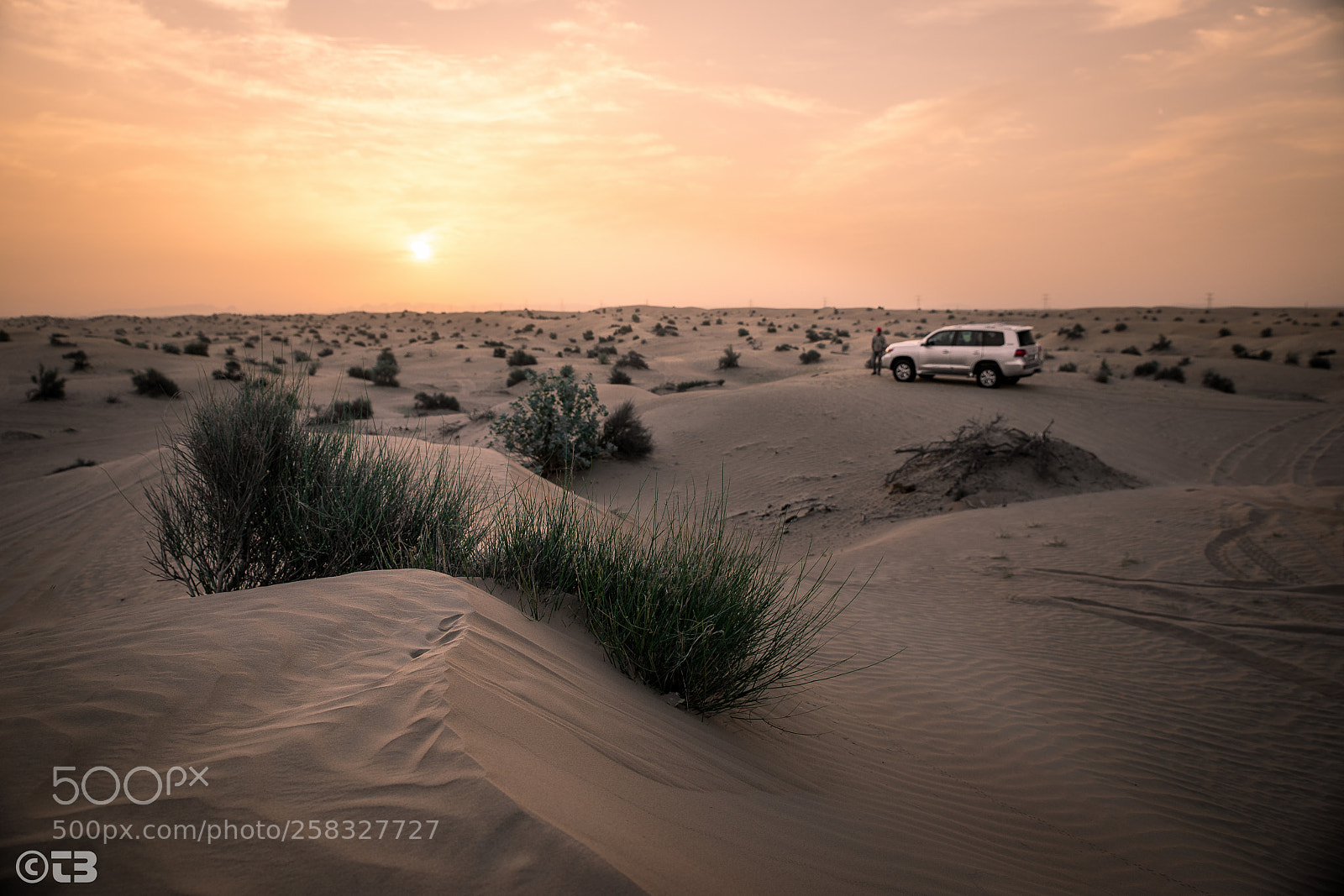 Sony a7 II sample photo. Sunrise in desert photography