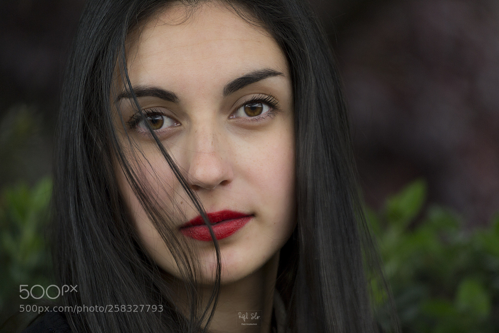 Nikon D3100 sample photo. 2016 eugen photography