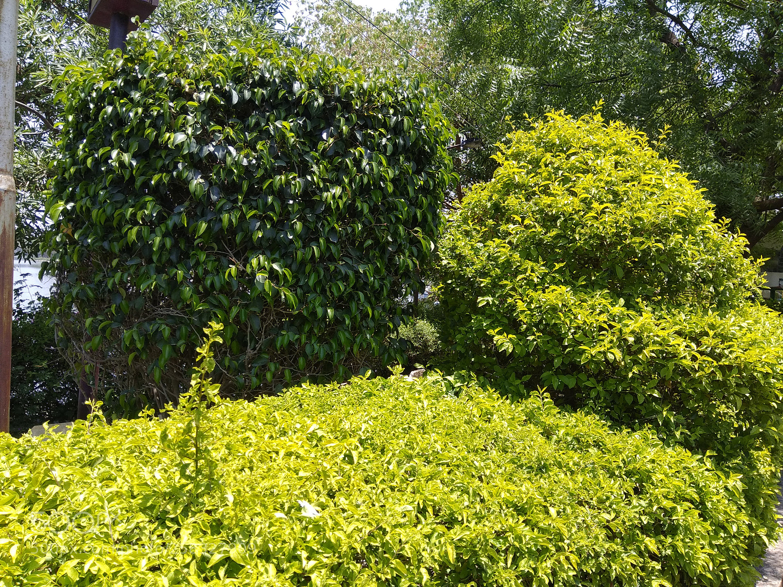 Xiaomi Redmi Note 4 sample photo. Untitled photography