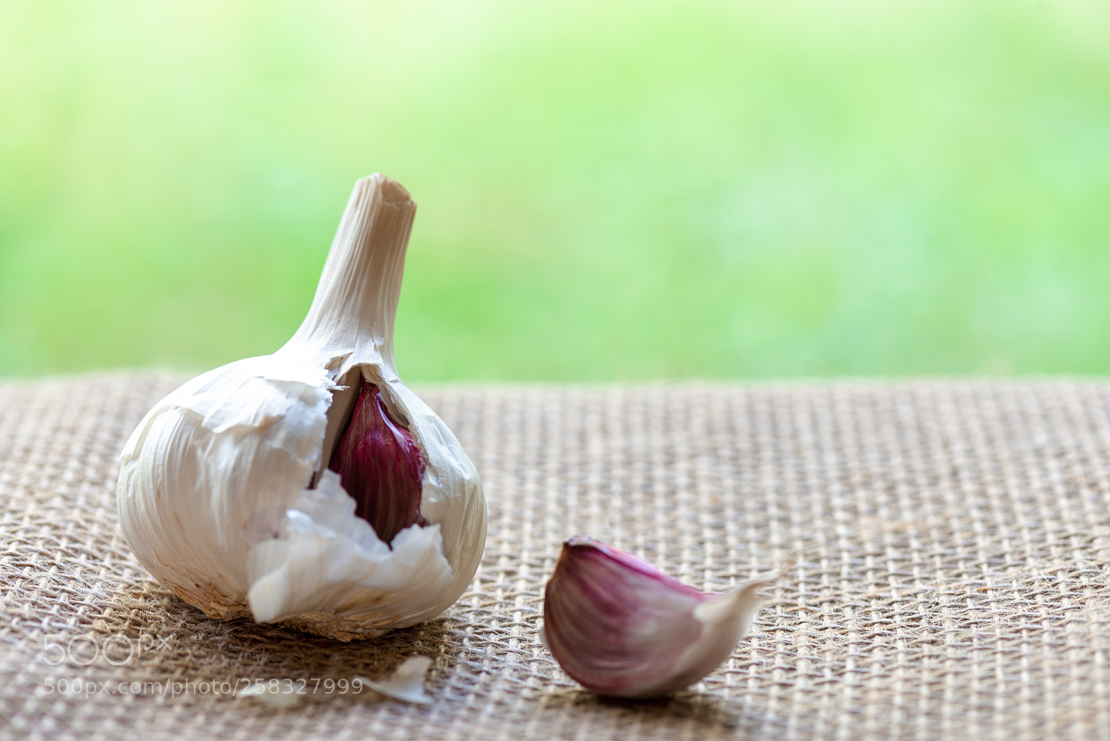 Nikon D750 sample photo. Garlic photography