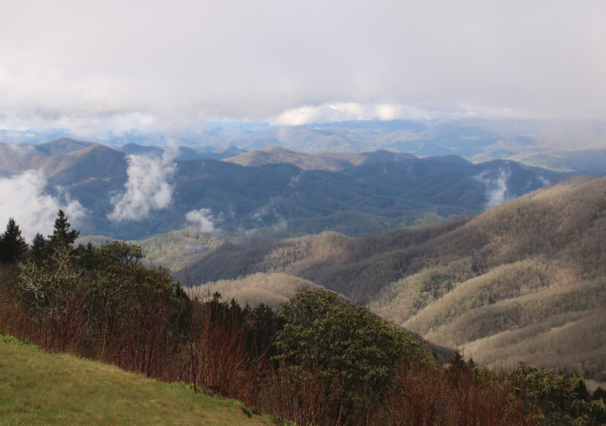 Sigma 18-200mm f/3.5-6.3 DC OS sample photo. Morning after rain in the smokies photography