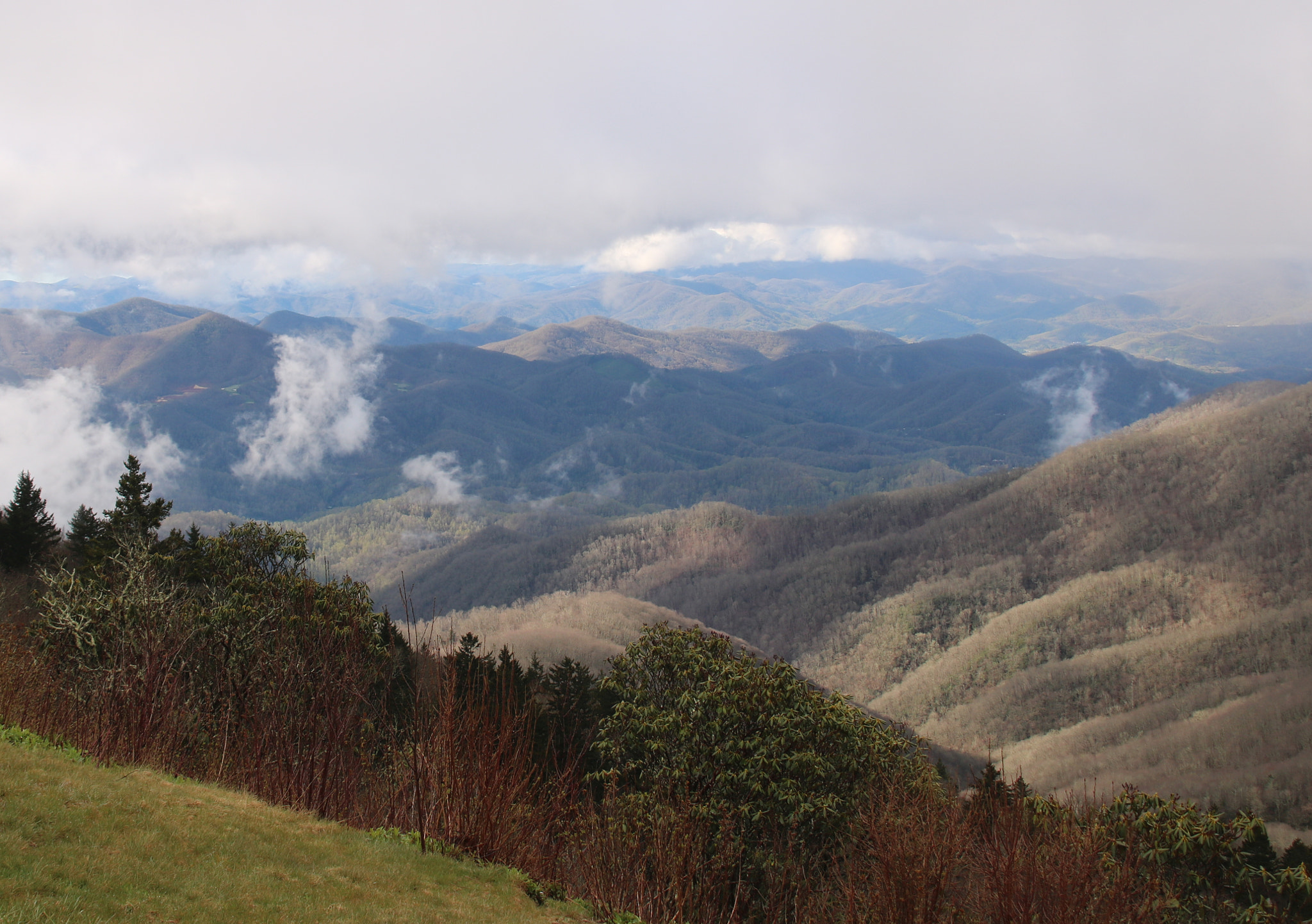 Canon EOS 760D (EOS Rebel T6s / EOS 8000D) + Sigma 18-200mm f/3.5-6.3 DC OS sample photo. Morning after rain in the smokies photography