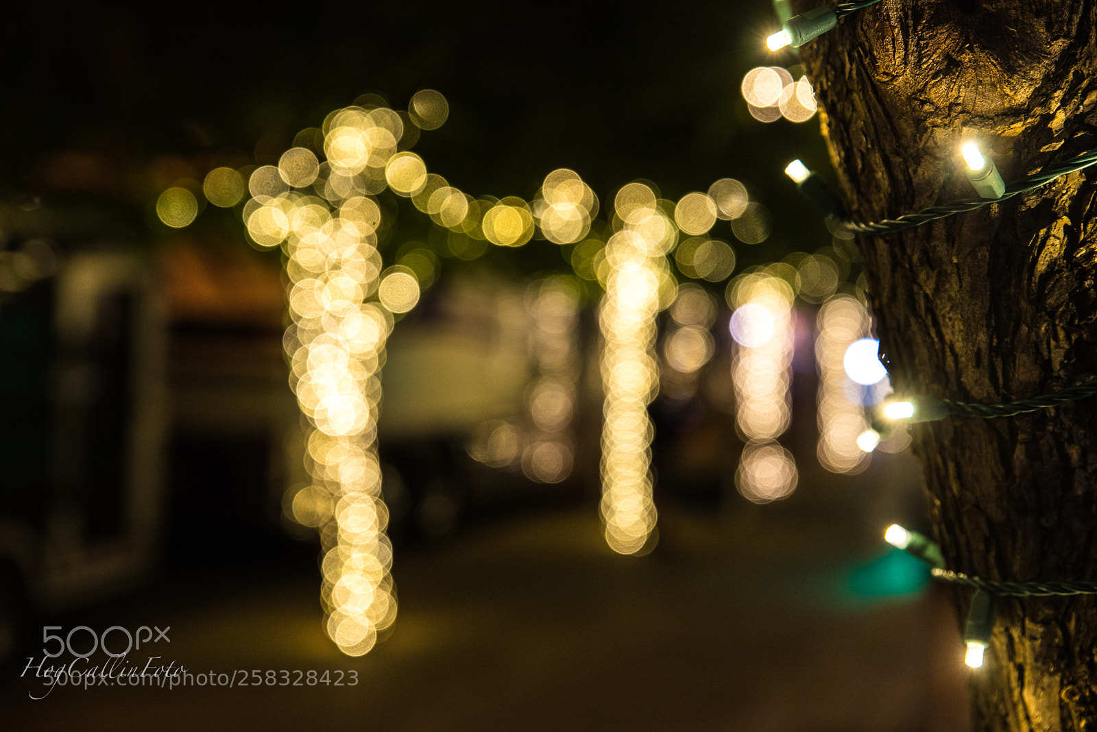 Nikon D750 sample photo. Bright lights, big city photography