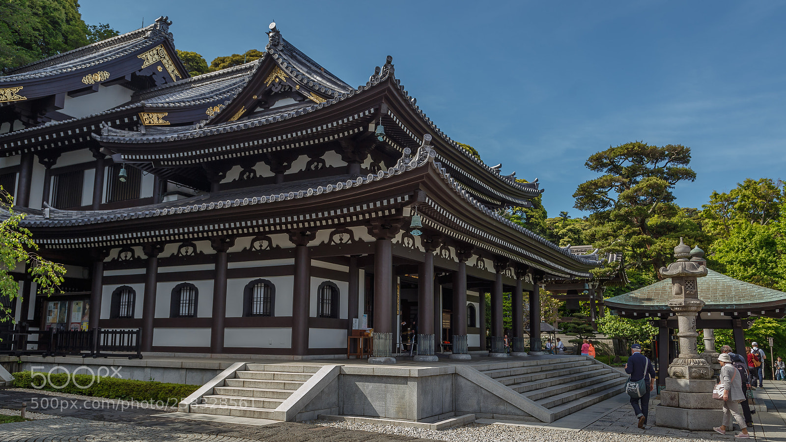 Canon EOS 6D sample photo. Hase kannon photography