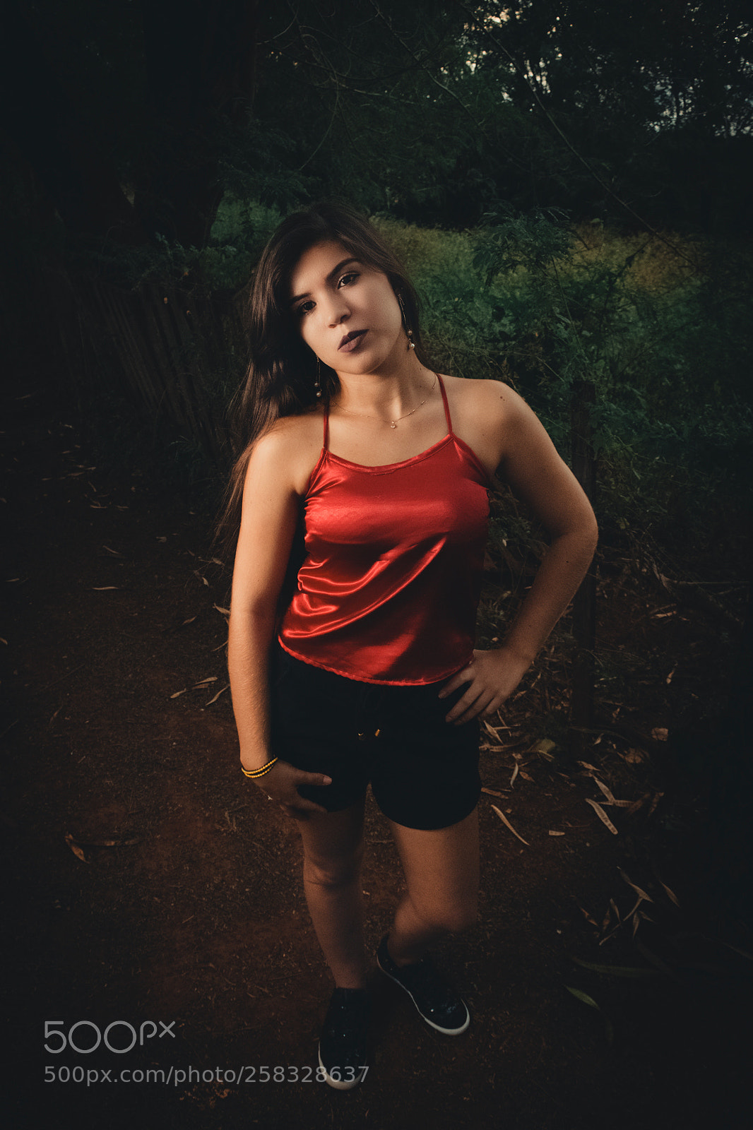 Nikon D500 sample photo. Paola photography