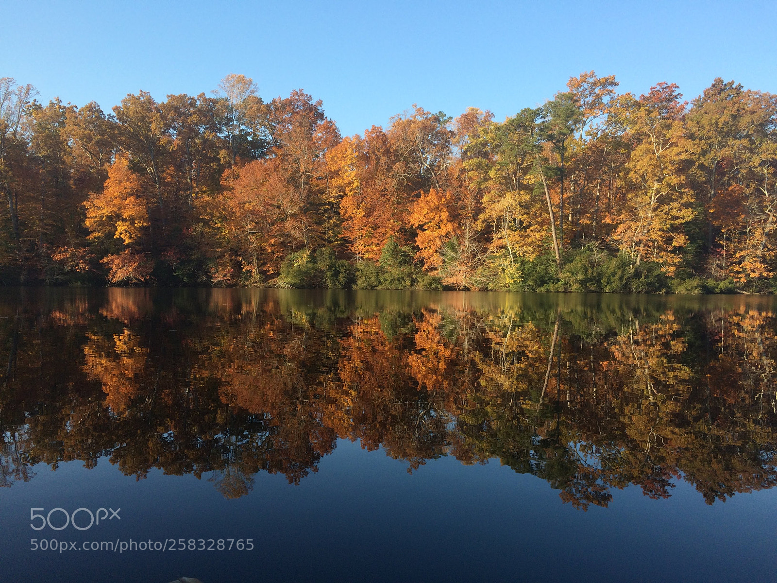 Apple iPhone 5s sample photo. Fall on the water photography
