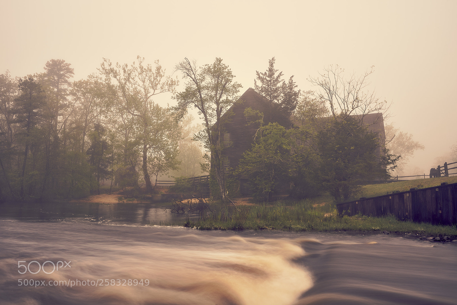Sony a7R III sample photo. Batsto fog photography
