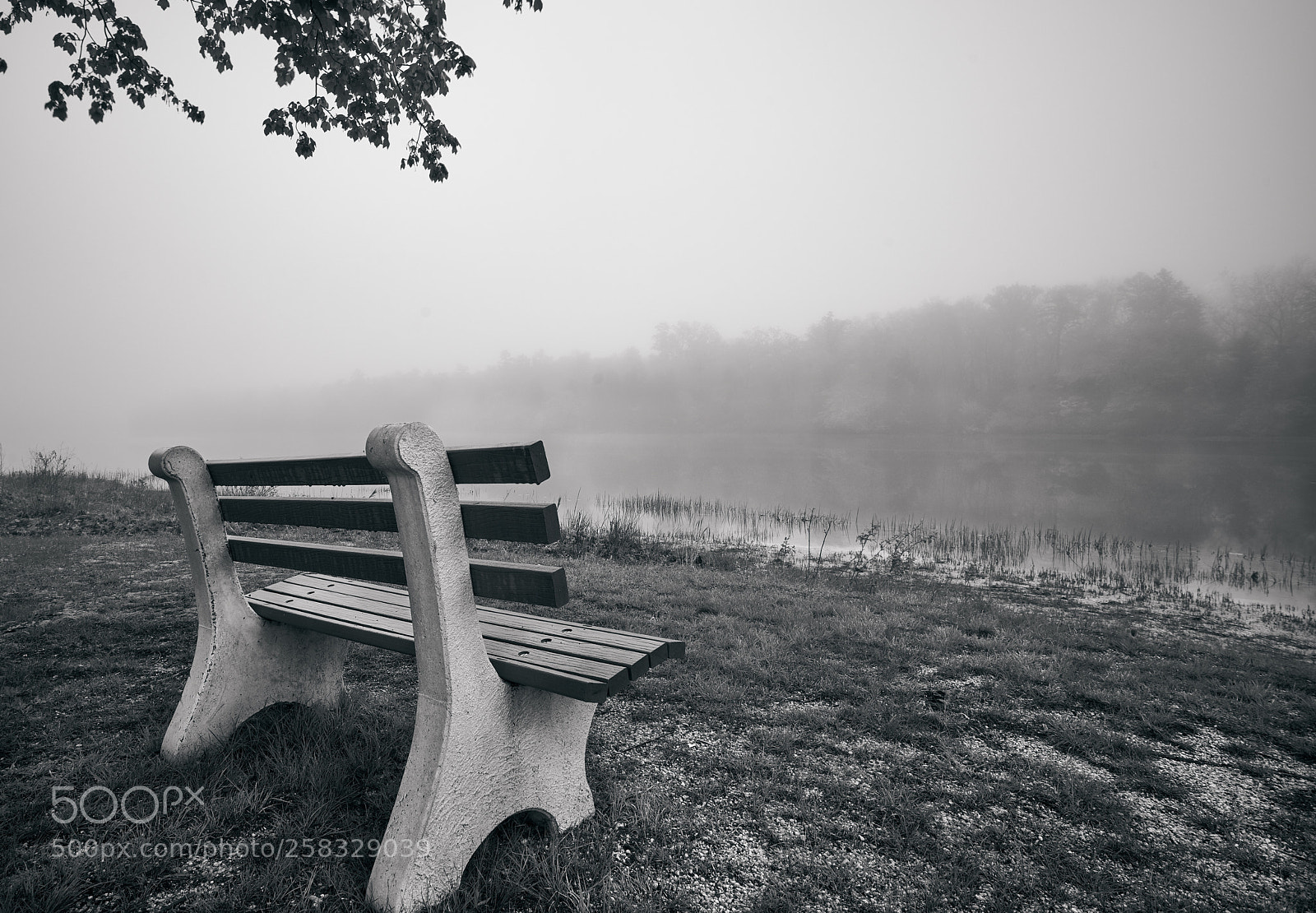 Sony a7R III sample photo. Lakeside photography