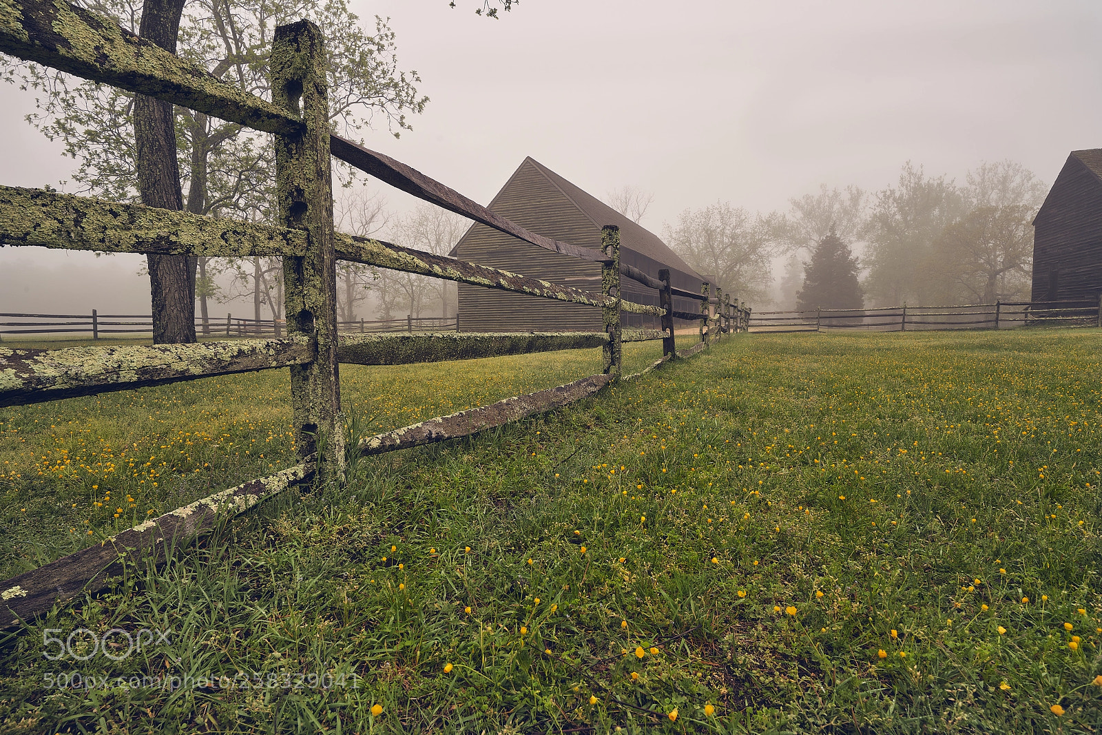 Sony a7R III sample photo. Morning fence line photography