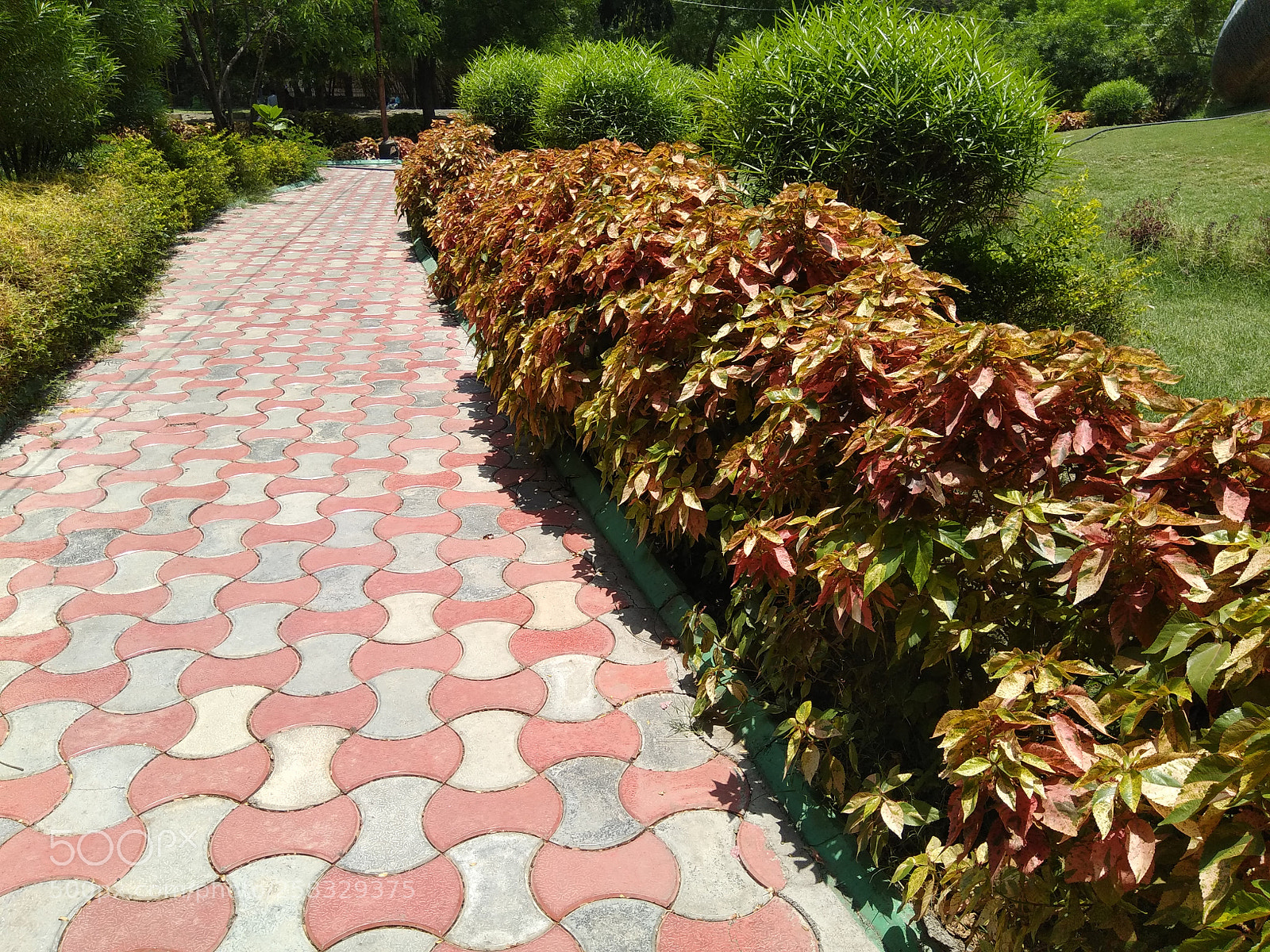 Xiaomi Redmi Note 4 sample photo. Untitled photography