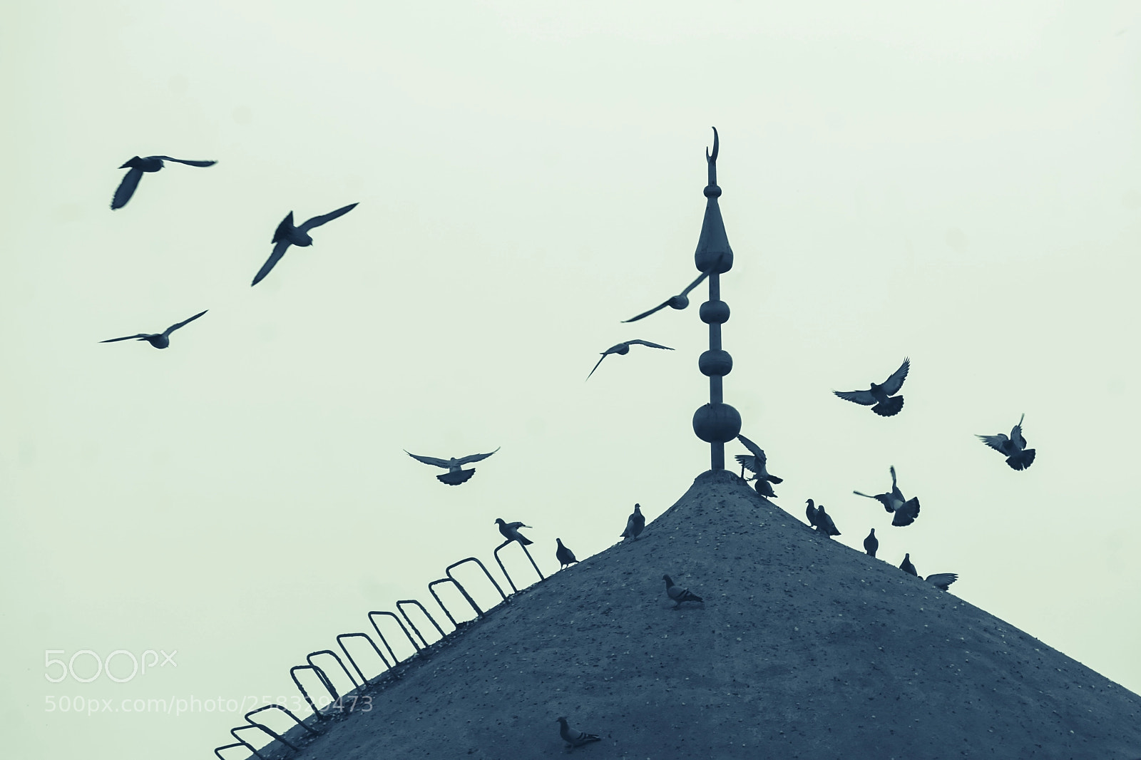 Sony a6000 sample photo. Ramadan in mosul photography