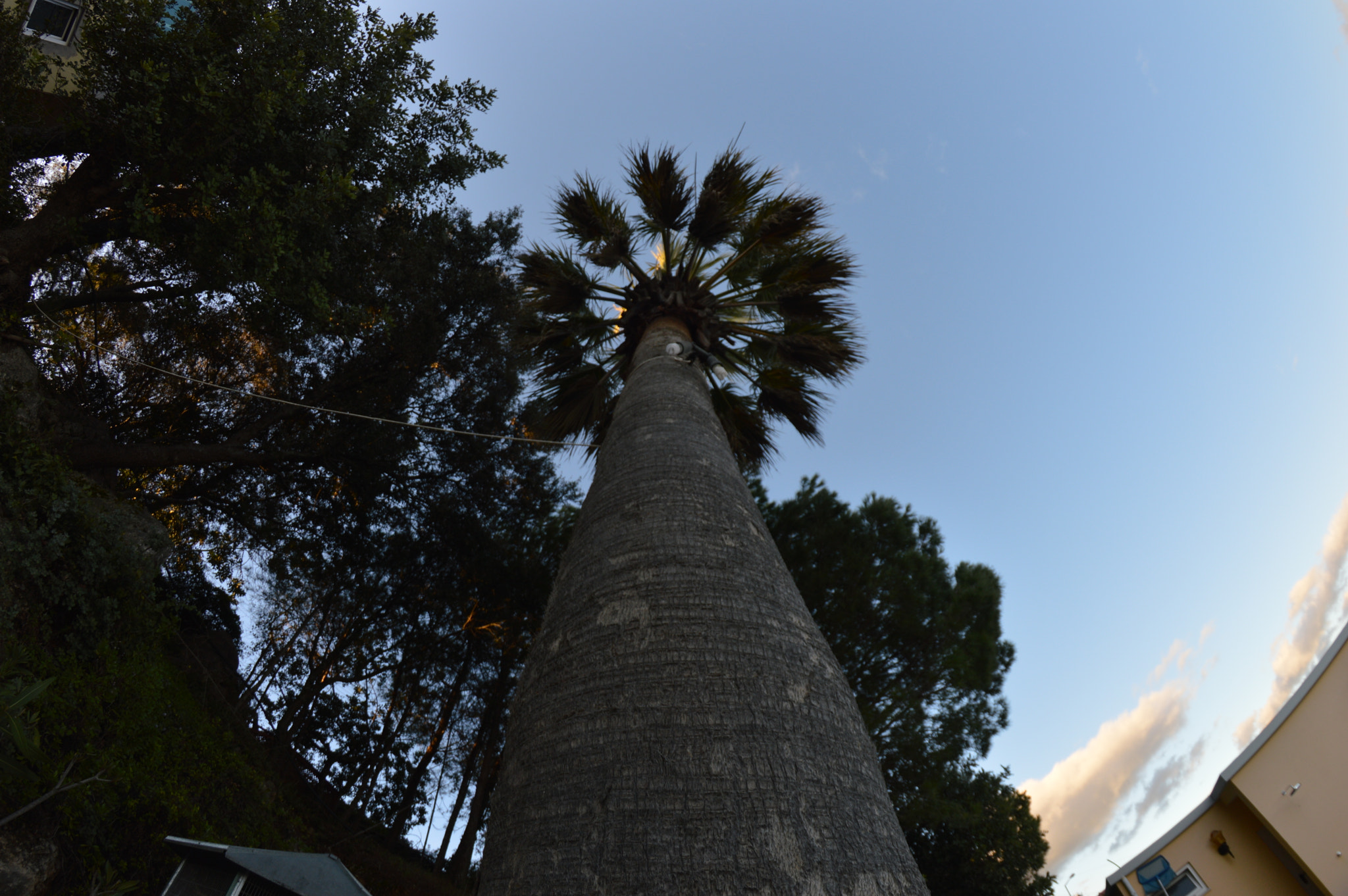 Nikon D3200 + Samyang 8mm F3.5 Aspherical IF MC Fisheye sample photo. Dsc photography