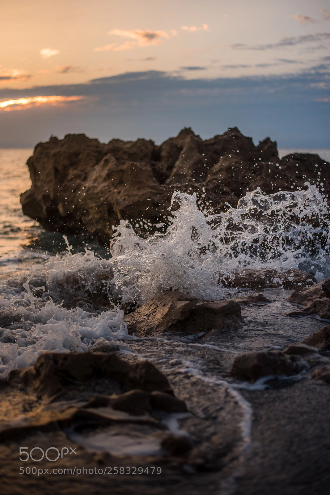 Nikon D750 sample photo. Coral cove photography