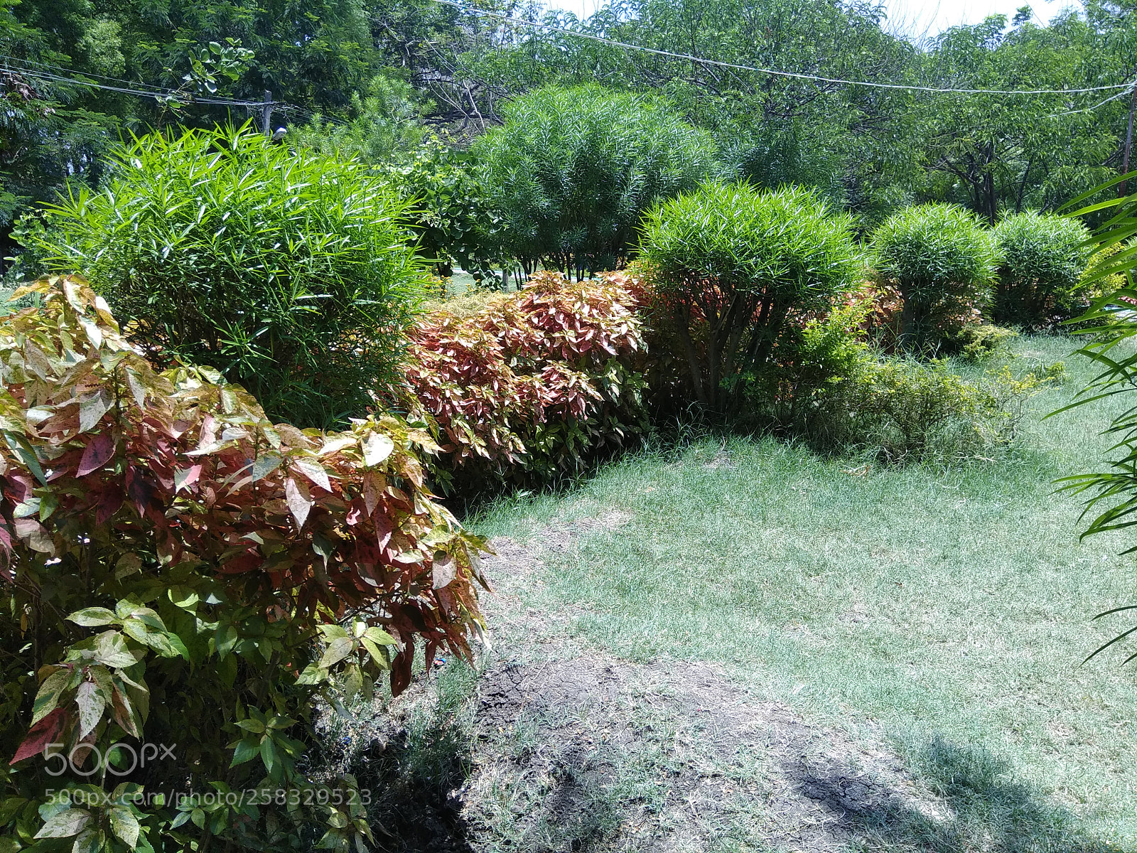 Xiaomi Redmi Note 4 sample photo. Untitled photography