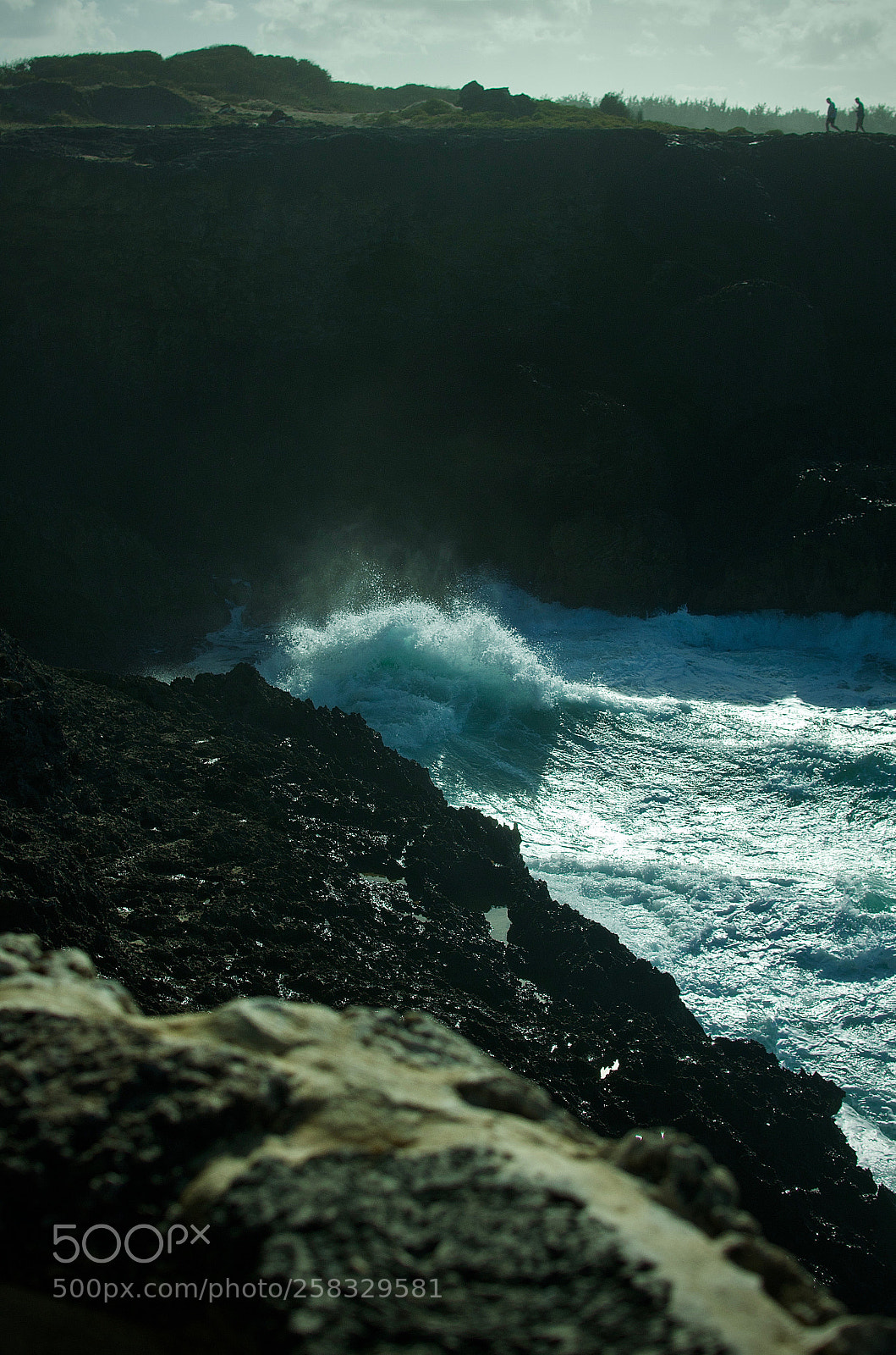Nikon D5100 sample photo. Animal flower cave barbados photography