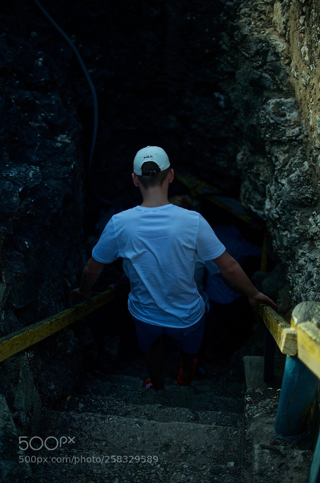 Nikon D5100 sample photo. Animal flower cave barbados photography