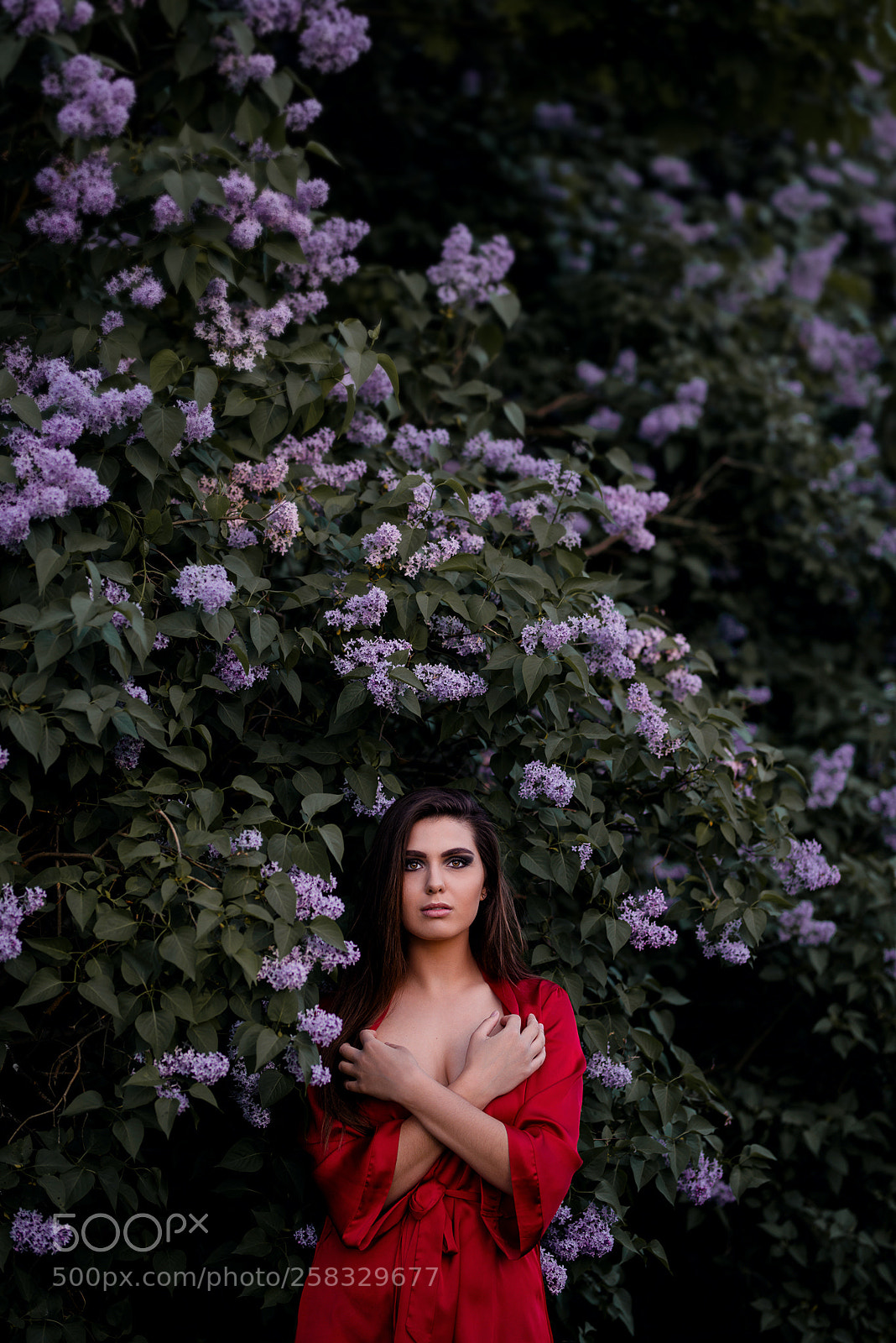 Nikon D800 sample photo. Lilac girl photography