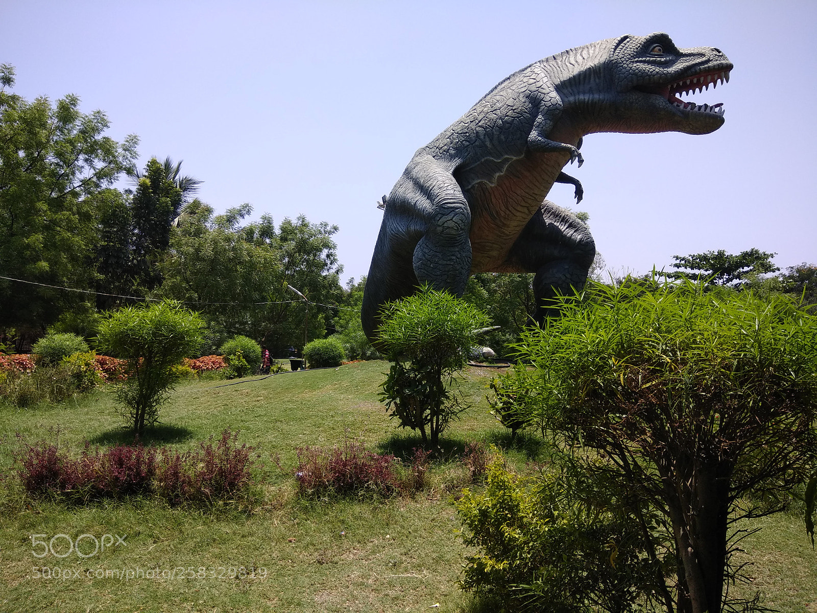 Xiaomi Redmi Note 4 sample photo. Untitled photography