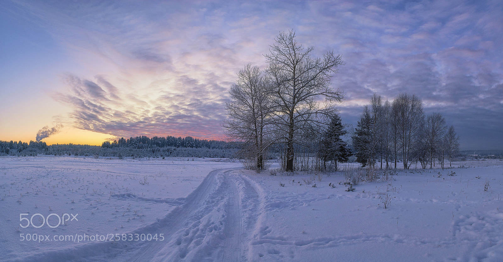 Nikon D610 sample photo. 925. at sunset of photography