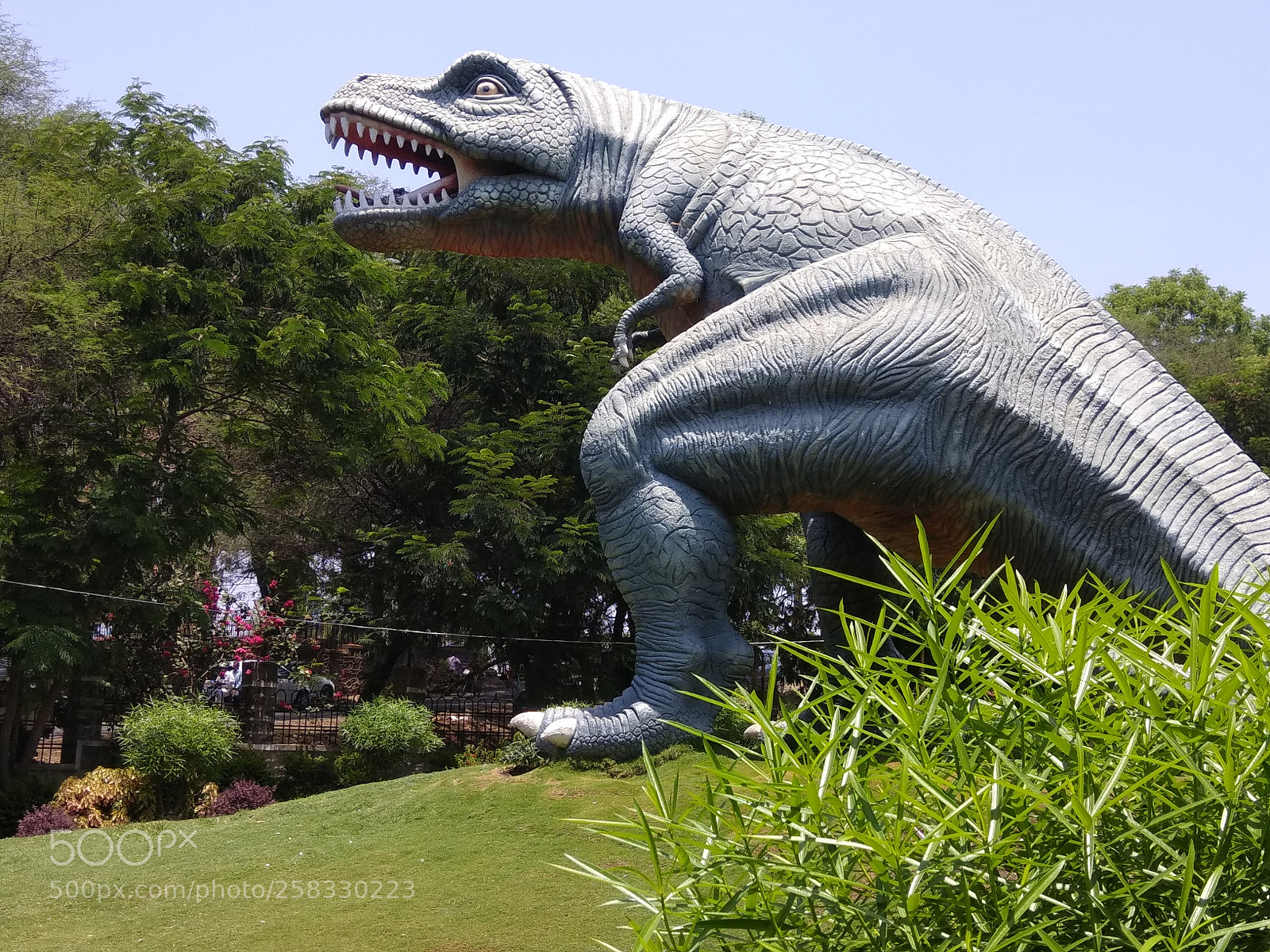 Xiaomi Redmi Note 4 sample photo. Untitled photography