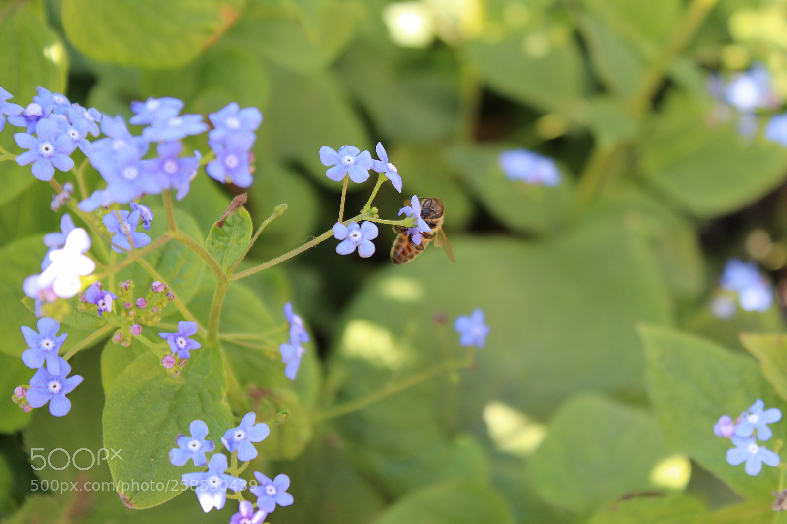 Canon EOS 1300D (EOS Rebel T6 / EOS Kiss X80) sample photo. Stopping by photography
