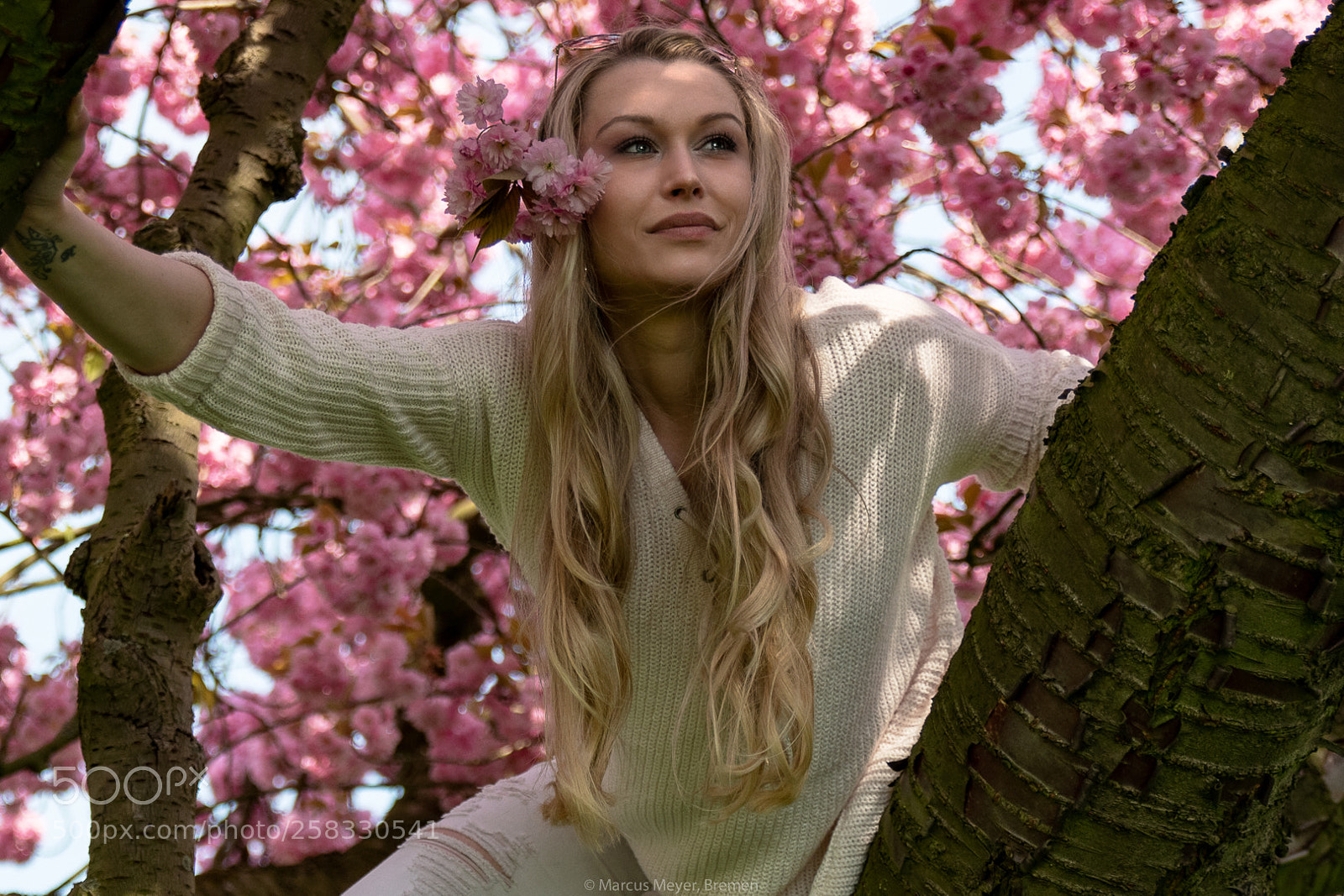 Nikon D850 sample photo. Blütenmeer photography