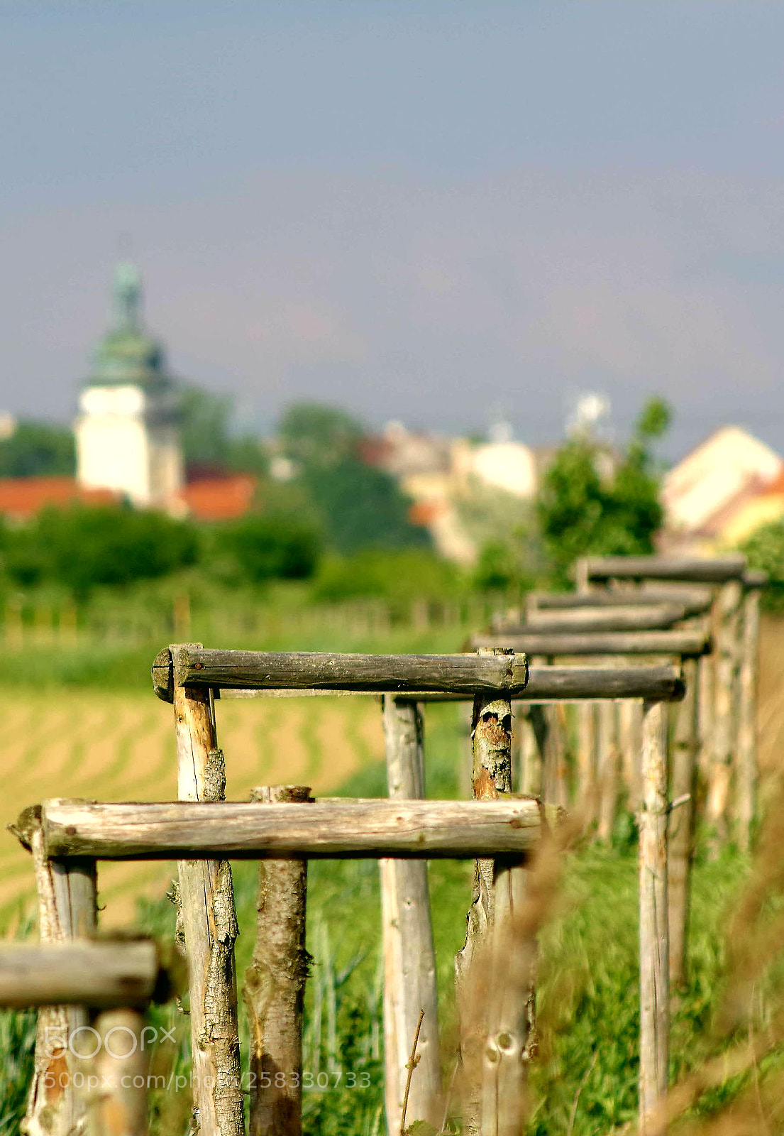 Pentax K-70 sample photo. Wood and castle tower photography