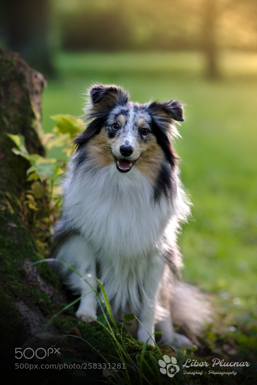 Nikon D610 sample photo. Keep smiling photography