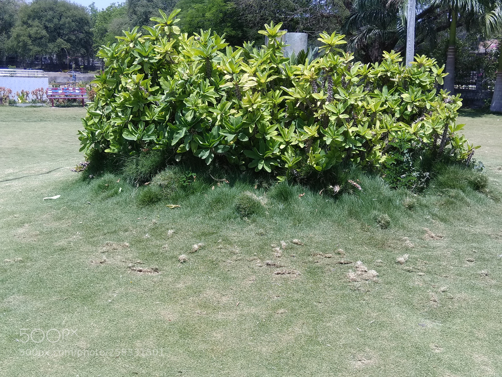 Xiaomi Redmi Note 4 sample photo. Untitled photography