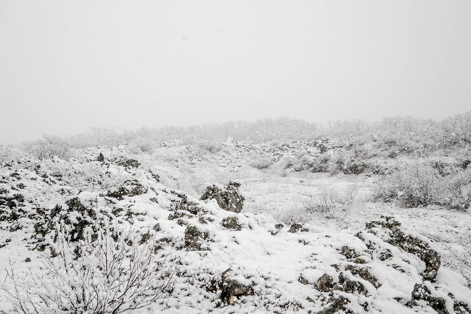 Sony a7S sample photo. Lava fields in a photography
