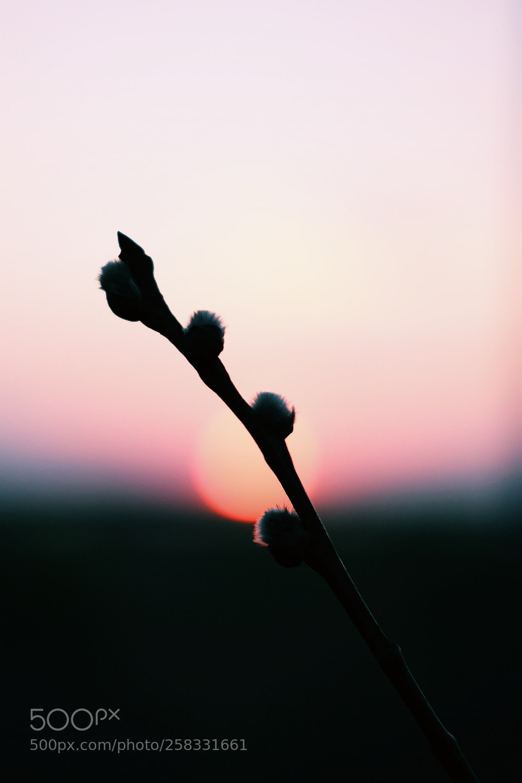 Fujifilm X-T1 sample photo. Japan photography