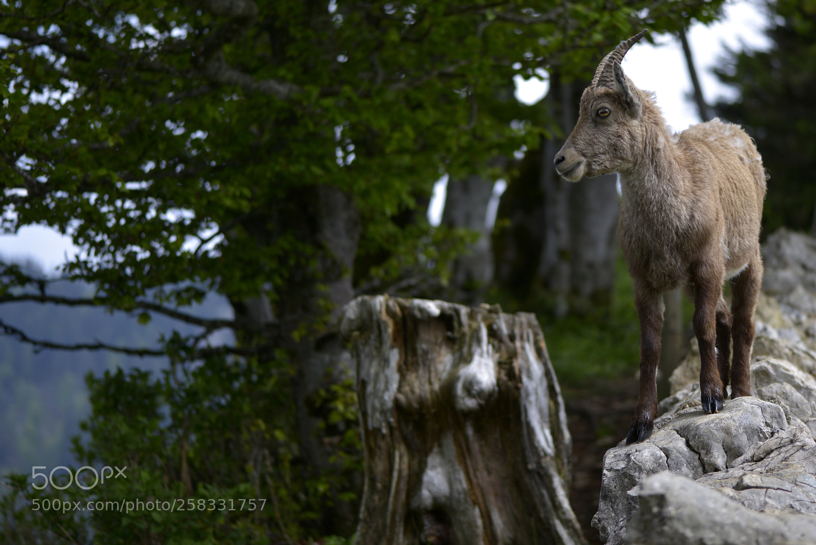 Nikon D800 sample photo. Pas encore l’été photography