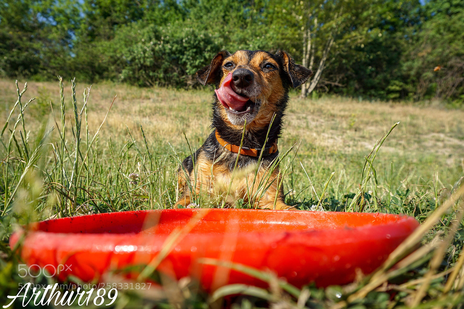 Sony a6000 sample photo. In front  photography