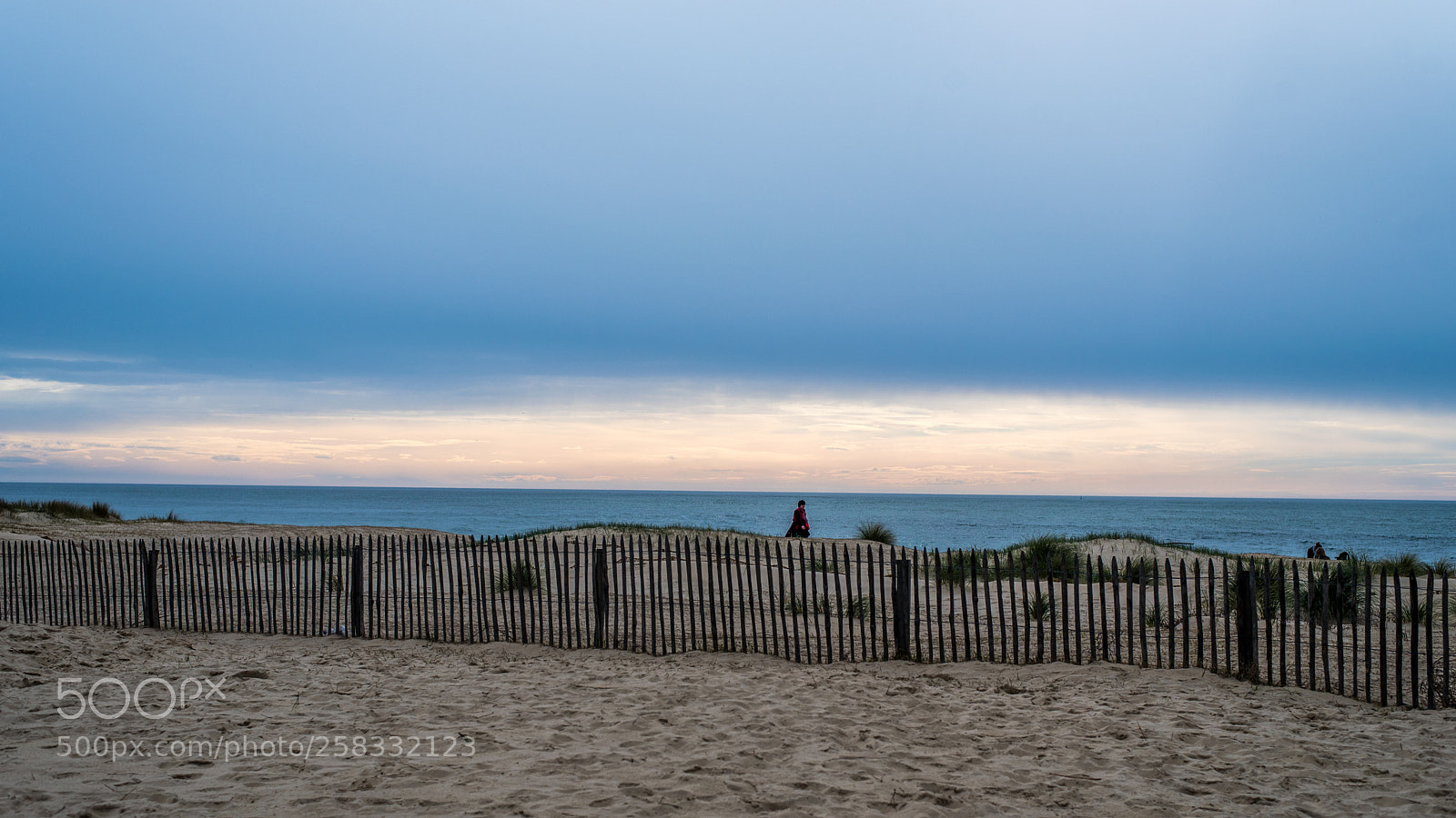 Nikon D750 sample photo. Sunset photography