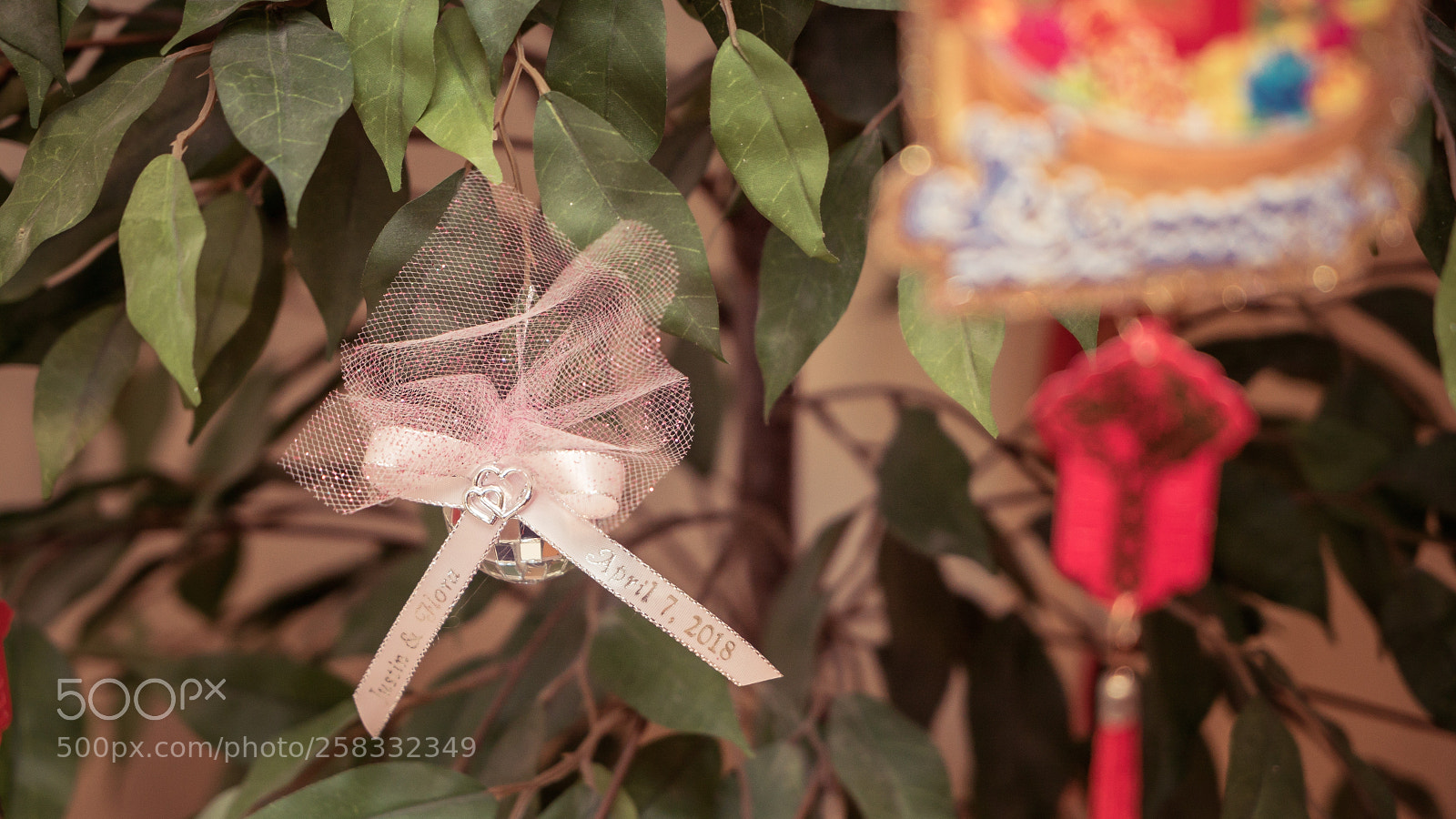 Sony a7S II sample photo. Dsc photography