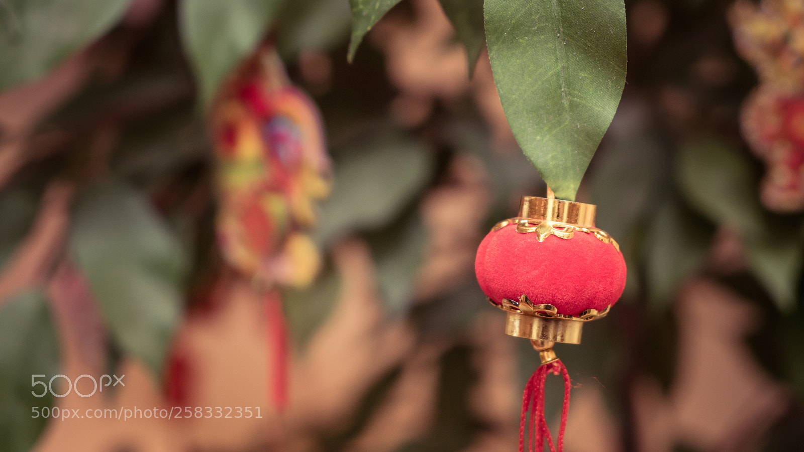 Sony a7S II sample photo. Dsc photography
