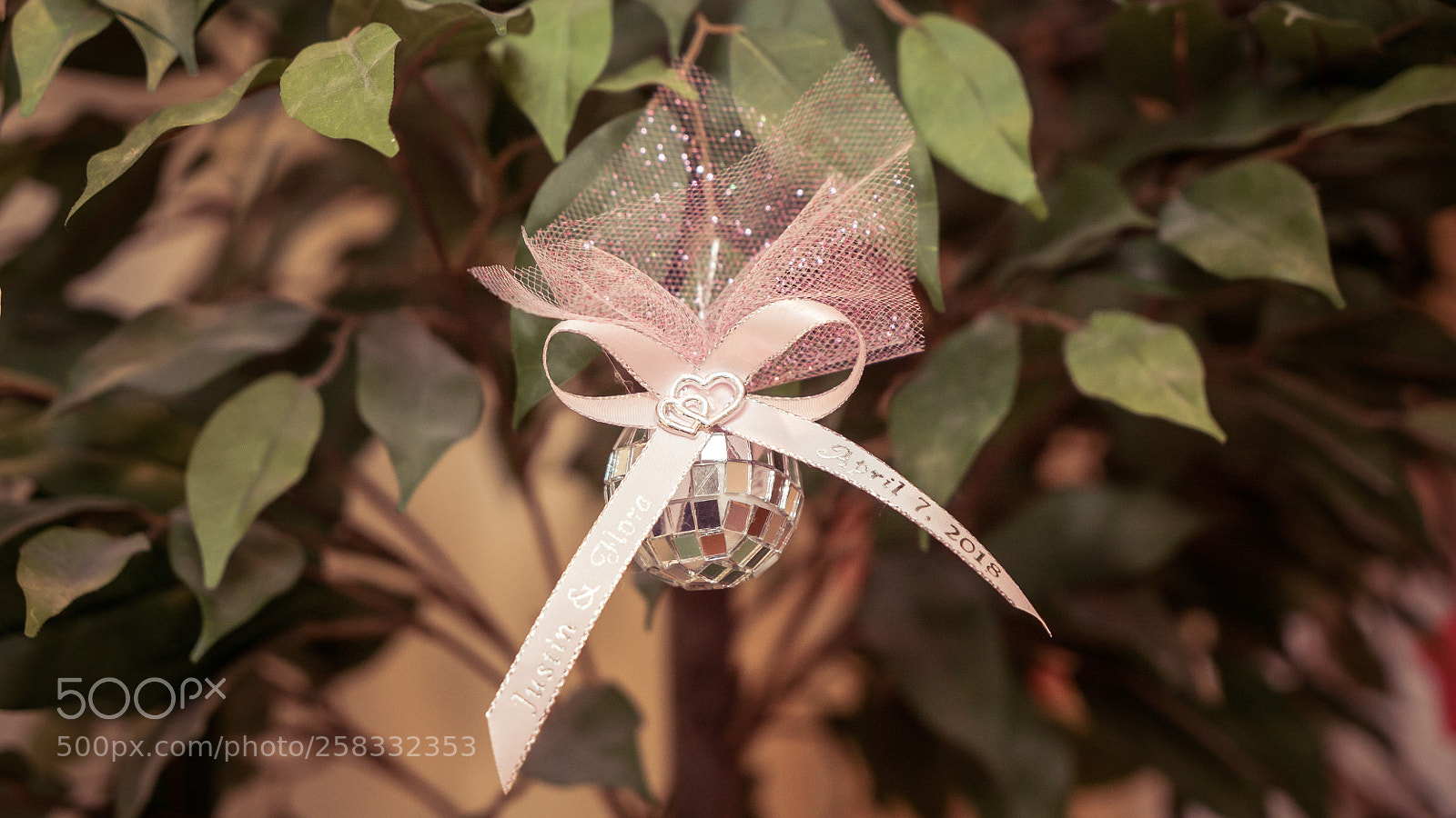 Sony a7S II sample photo. Dsc photography