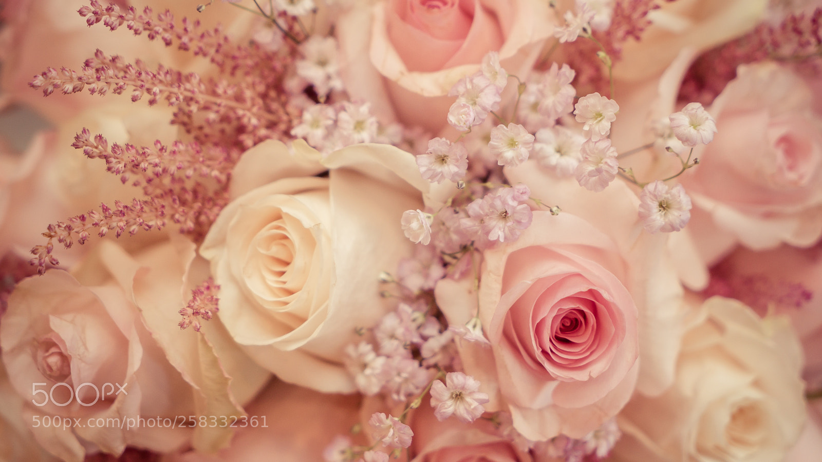 Sony a7S II sample photo. Dsc photography